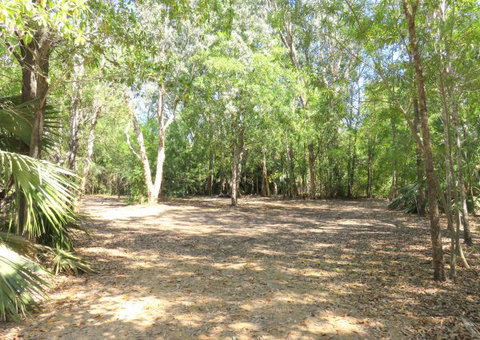 Bitter Springs Cabins And Camping - Accommodation QLD 5