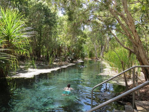 Bitter Springs Cabins And Camping - Accommodation QLD 6