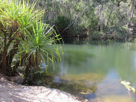 Bitter Springs Cabins And Camping - Accommodation QLD 7