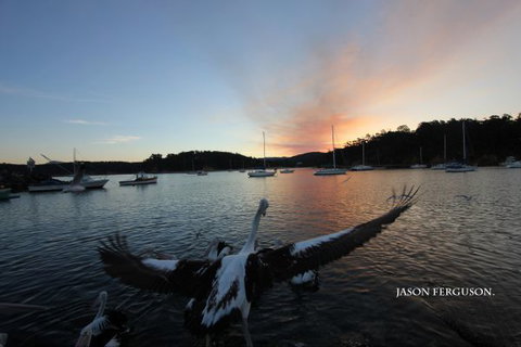 Eden Beachfront Holiday Park - Accommodation QLD 6