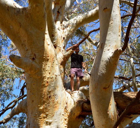 Eldee Station Accommodation, Caravan And Campsites - Accommodation QLD 5