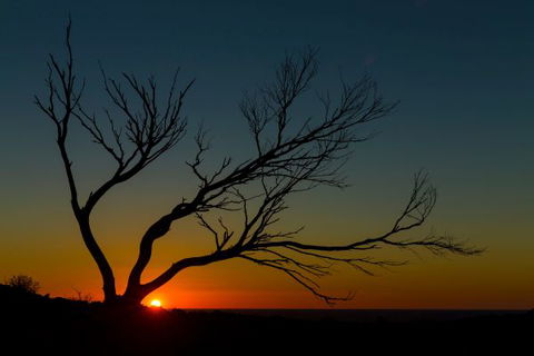 Eldee Station Accommodation, Caravan And Campsites - Accommodation QLD 10