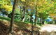 Huntington Cottage - thumb 7