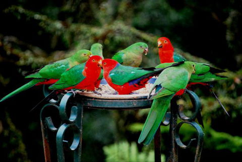 Huntington Cottage - Accommodation QLD 8