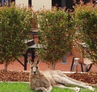 Alpha Canberra Hotel and Apartments - Accommodation QLD