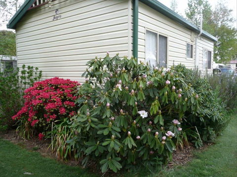 Jenolan Caravan Park - Accommodation QLD 1