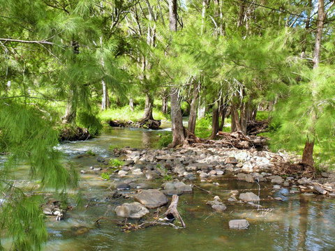 Cockadilly Escape - Accommodation QLD 0