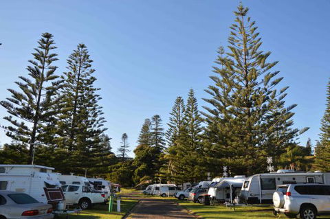 NRMA Port Macquarie Breakwall Holiday Park - Accommodation QLD 5
