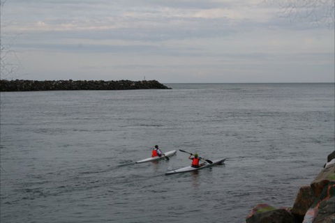 NRMA Port Macquarie Breakwall Holiday Park - Accommodation QLD 7