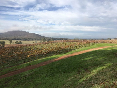 Sanguine Estate - Accommodation QLD 36