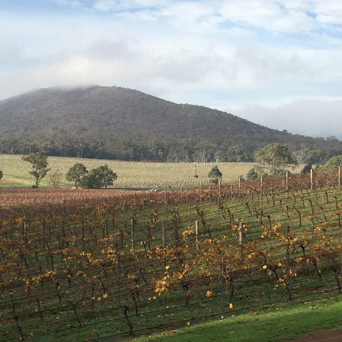 Sanguine Estate - Accommodation QLD 44