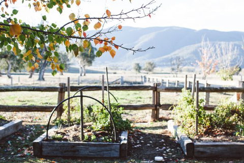 Alpine Edge Accommodation - Accommodation QLD 5