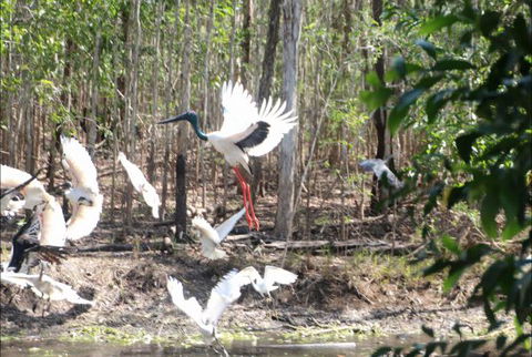 Rakhi Retreat - Accommodation QLD 0