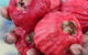 Rakhi Retreat - thumb 5