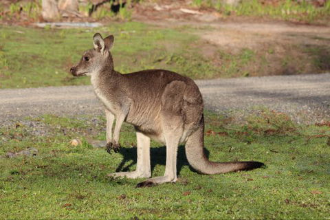 Mackey's Peak Villas - Accommodation QLD 6