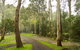 Tarra Valley Caravan Park - thumb 6