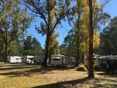 Beechworth Holiday Park - Accommodation QLD 5
