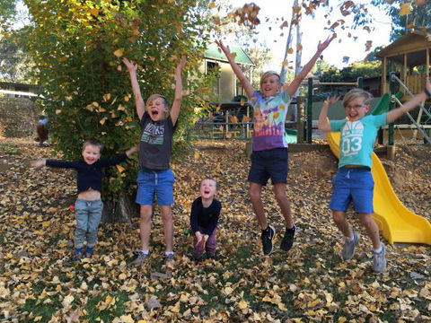 Beechworth Holiday Park - Accommodation QLD 8