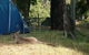 Grampians Paradise Camping And Caravan Parkland - thumb 8