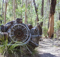 Kroombit Tops National Park Camping Ground - Accommodation QLD
