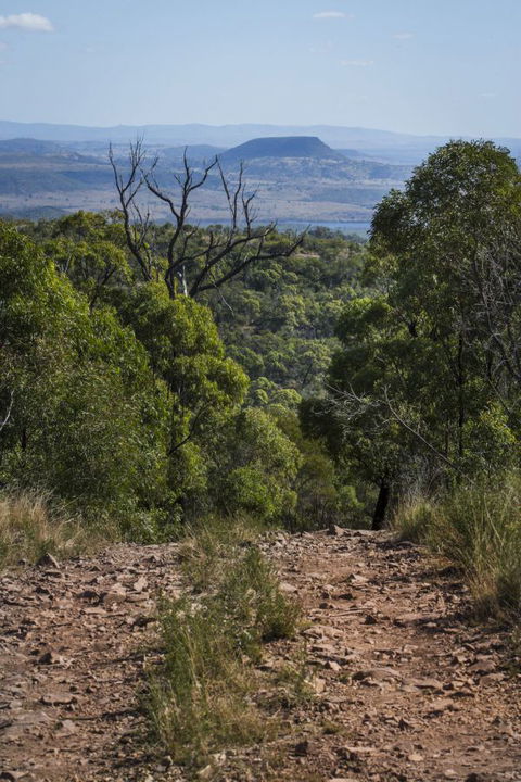 Kroombit Tops National Park Camping Ground - Accommodation QLD 3