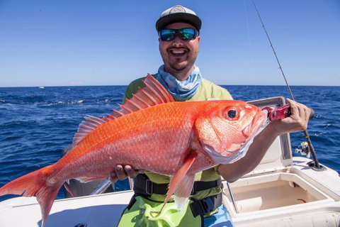 Mackerel Islands - Accommodation QLD 7