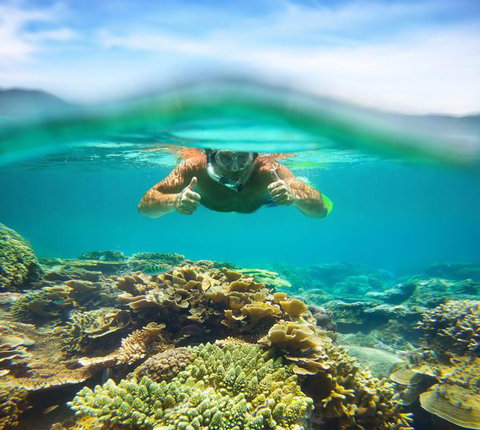 Mackerel Islands - Accommodation QLD 8