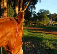 Billa Billa Farm Cottages - Accommodation QLD