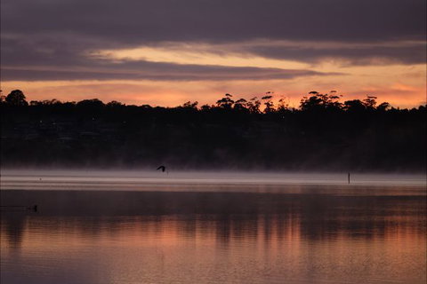 Eastcoaster Resort - Accommodation QLD 2