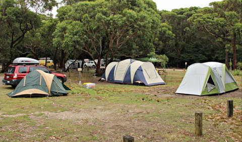 Pretty Beach Campground, Murramarang National Park - Accommodation QLD 0