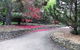 The Jungle Lodge, Blue Mountains Botanic Gardens - thumb 5