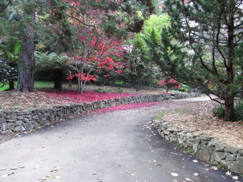 The Jungle Lodge, Blue Mountains Botanic Gardens - Accommodation QLD 5