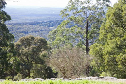 The Jungle Lodge, Blue Mountains Botanic Gardens - Accommodation QLD 6