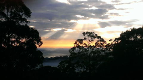 The Jungle Lodge, Blue Mountains Botanic Gardens - Accommodation QLD 8