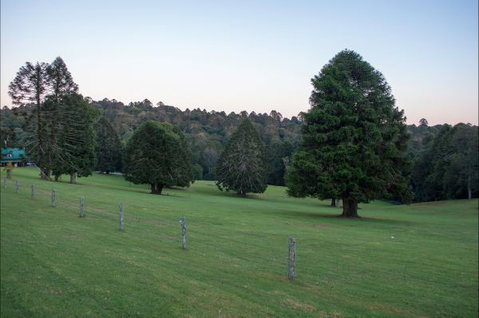 Bunya Mountains Accommodation Centre - Accommodation QLD 5