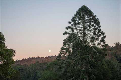 Bunya Mountains Accommodation Centre - Accommodation QLD 6