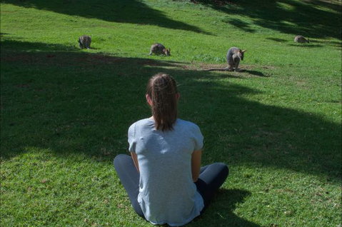 Bunya Mountains Accommodation Centre - Accommodation QLD 7
