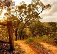 Kurrajong Trails and Cottages - Accommodation QLD