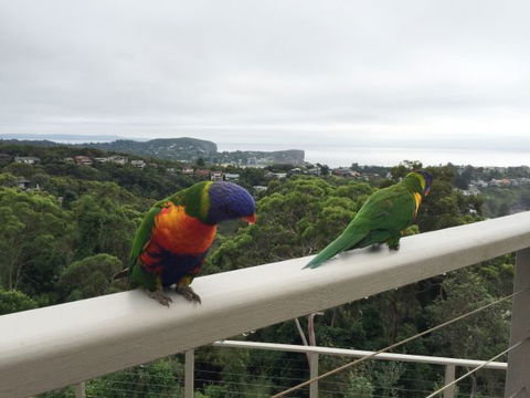 Avalon Horizons - Accommodation QLD 8