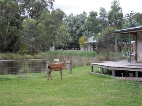 Grampians Chalets - Accommodation QLD 3