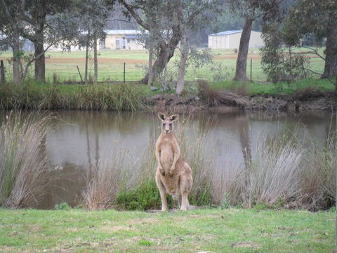 Grampians Chalets - Accommodation QLD 4
