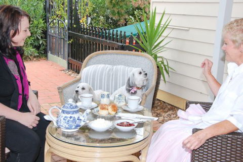 Must Love Dogs B&B And Self-Contained Cottage - Accommodation QLD 2
