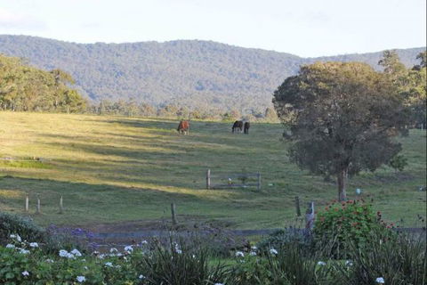 Wallaby Cottage - Accommodation QLD 1