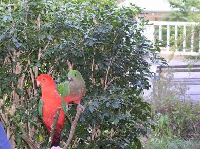 Kemeys At Mandalong - Accommodation QLD 5