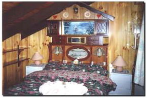 Karelia Alpine Lodge - Accommodation QLD 2