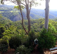 Mt Tamborine Motel - Accommodation QLD
