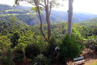 Mt Tamborine Motel - Accommodation QLD 0