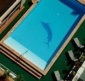 Pacific International Hotel - Accommodation QLD