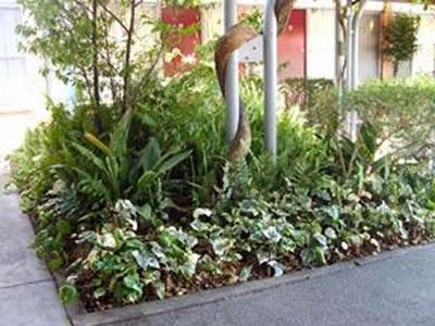 Comfort Inn Manhattan - Accommodation QLD 2