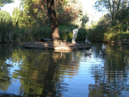 Lyndoch Hill Retreat - Accommodation QLD 2